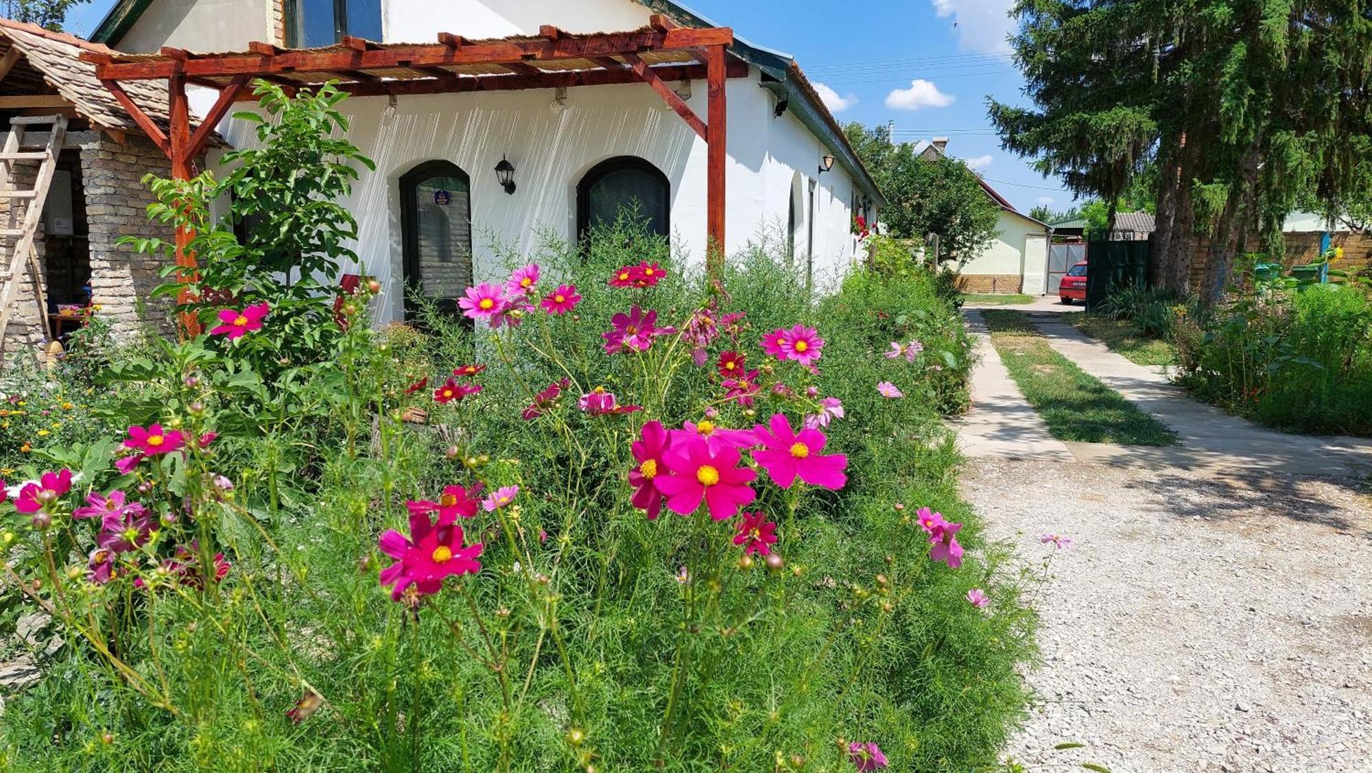 Eva House Hotel Pacsér Kültér fotó